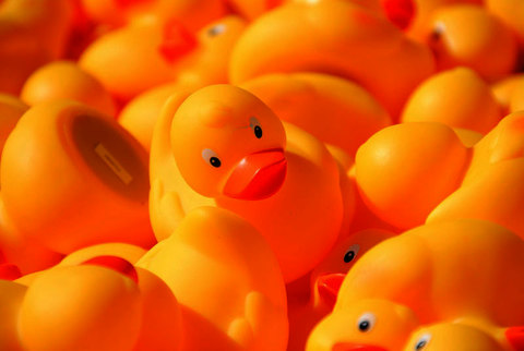 Enten- und Bastelbootrennen am Sonntag, 2. Juli